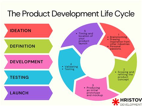 What Stages Make up the Product Development Life Cycle (And Why Th.